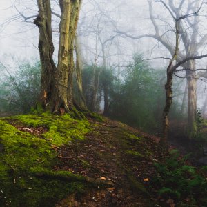 _MG_7895-Pano-1.jpg