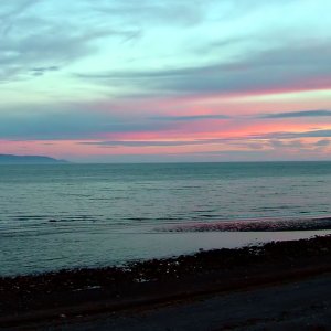 0768 Homer, Ak.jpg