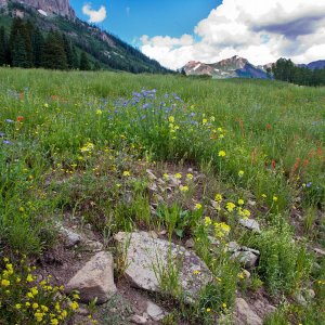 3208 Crested Butte, CO.jpg