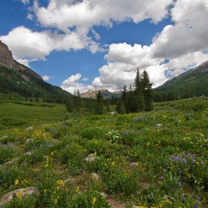 3206 Crested Butte, CO.jpg