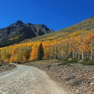 1431 Alpine Loop, CO.jpg