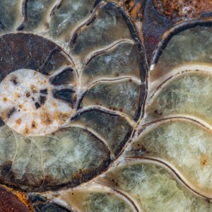 DSC_4345-1-FOCUS ON -2.jpg