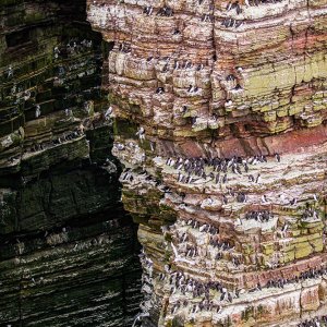 Orkney24_7478.jpg
