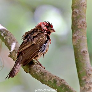 IMG_3828.JPG