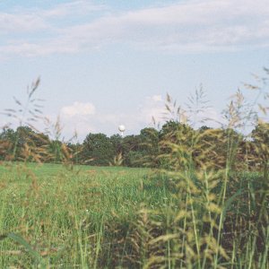 Lesue008165-R1-035-16.JPG