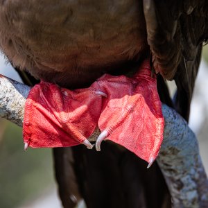 galapagos 2024-824.jpg