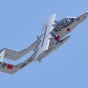 1 Bronco_1700.jpg