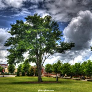 greercitypark.jpg