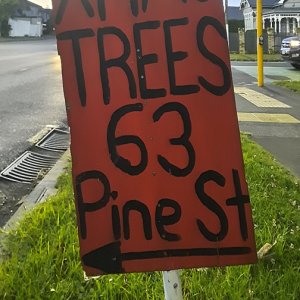 pine st.jpg
