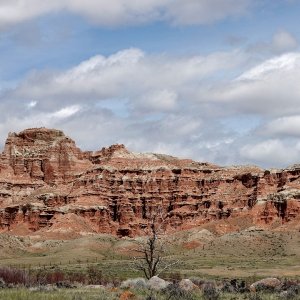 0576 Dubois, WY.jpg