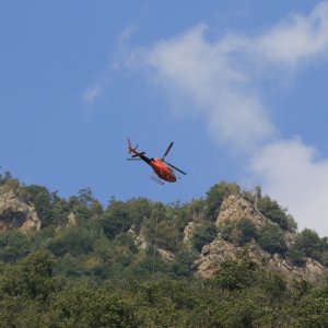 TEX_5587.JPG