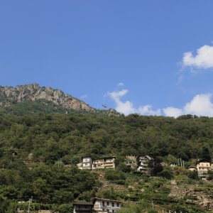 TEX_5586.JPG