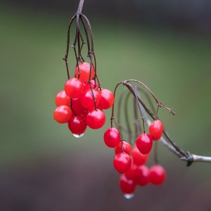 1L5A5635-COPY-1-WEB$.jpg