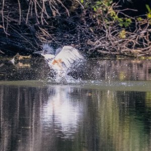 R62_3105-Edit-1-2.jpg