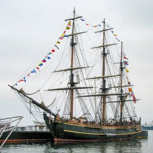 BOUNTY_0375.JPG