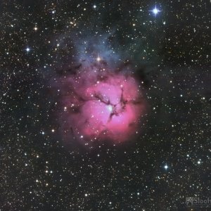 M20 from PI-Edit-Edit-1-2.jpg