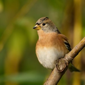 20241015EOS R5m20038904-CR3-DPXD2.jpg