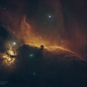 IC434.jpeg