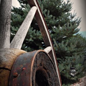 WheelTree0916_SVGAP.JPG