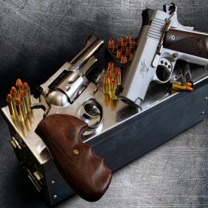 pistols IMG_0467 2.jpg