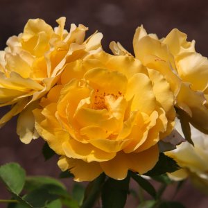 IMG_0134-COPY-1-WEB$.jpg