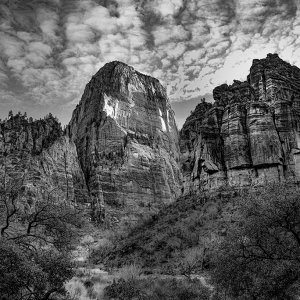 RLF_1259-bw.jpg