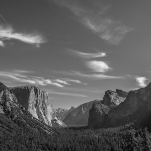 DSC_7106-18-1.jpg