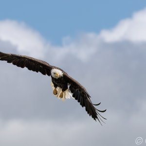7DM21_4281-2025.jpg