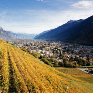 Landscape20.jpg