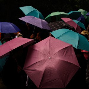 umbrella sea_MG_1818.jpg