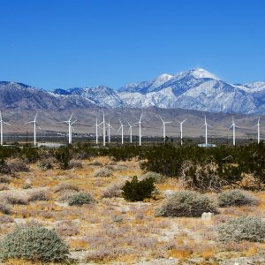1035 Coachella Valley, CA.jpg