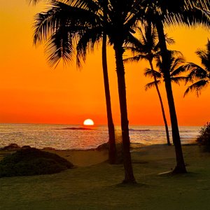 PoiPu sunset.jpg