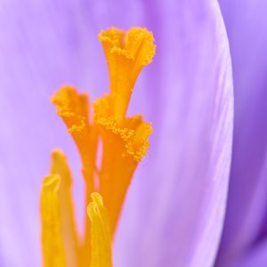 IMG_4762.jpg