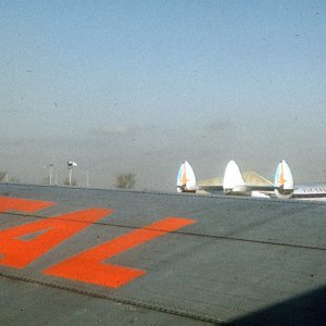 M3109-01260015.JPG
