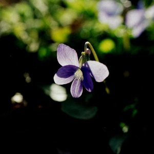 IMG_5613.jpeg