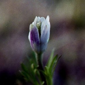 IMG_5612.jpeg
