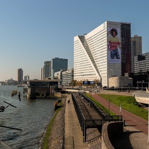 IMG_5319.jpg