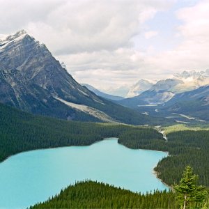 87RT2_17_362B.jpg