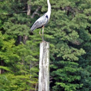 IMG_1127.JPG