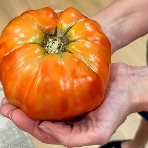 Media 'Beefsteak.jpg' in category 'Food and Beverages'