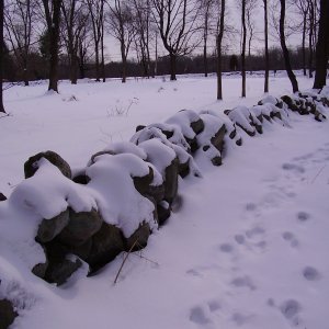 22-Stone Wall.jpg