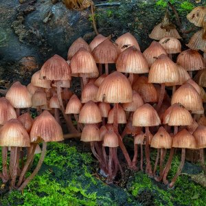Media 'R5m2 R5M22855 Crop 1600.jpg' in category 'Lens Sample Archive'