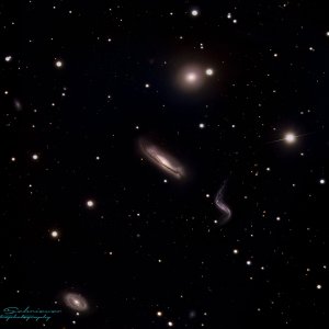 HIckson 44.jpg