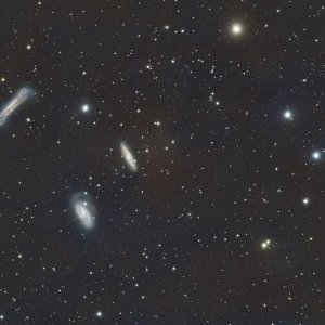 Triplet2.sm.jpg