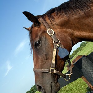 0331 Lexington, KY.jpg