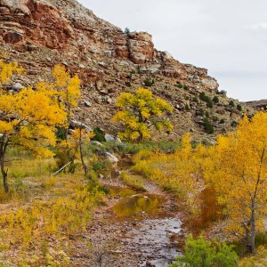 3055 Roubideau Canyon, CO.jpg