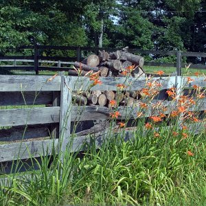 0131 Frenchburg, KY.jpg