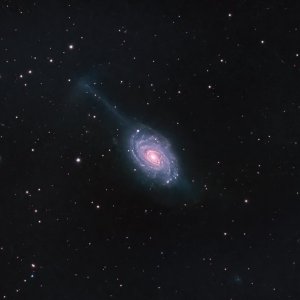Umbrella_Galaxy.jpg