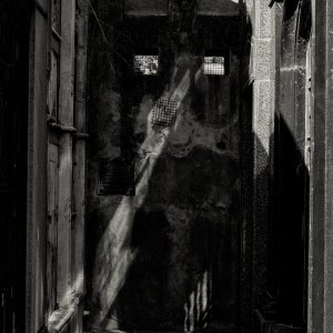 The Reaper Awaits copy.jpg