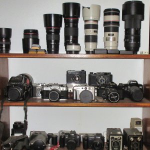 IMG_8870 Ne.jpg